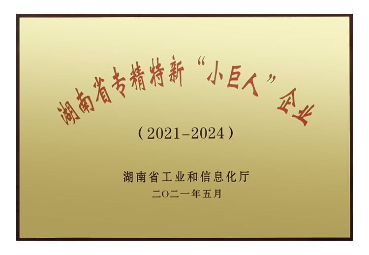 湖南省專精特新“小巨人企業(yè)”