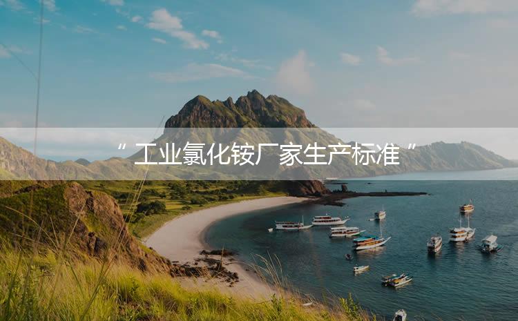 工業(yè)氯化銨廠家生產(chǎn)標(biāo)準(zhǔn)，生產(chǎn)過程進(jìn)行嚴(yán)密的監(jiān)控！